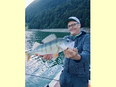 Egli 46 cm
gefangen am: 21.06.2026