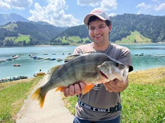 Egli 47 cm
gefangen am: 01.08.2026